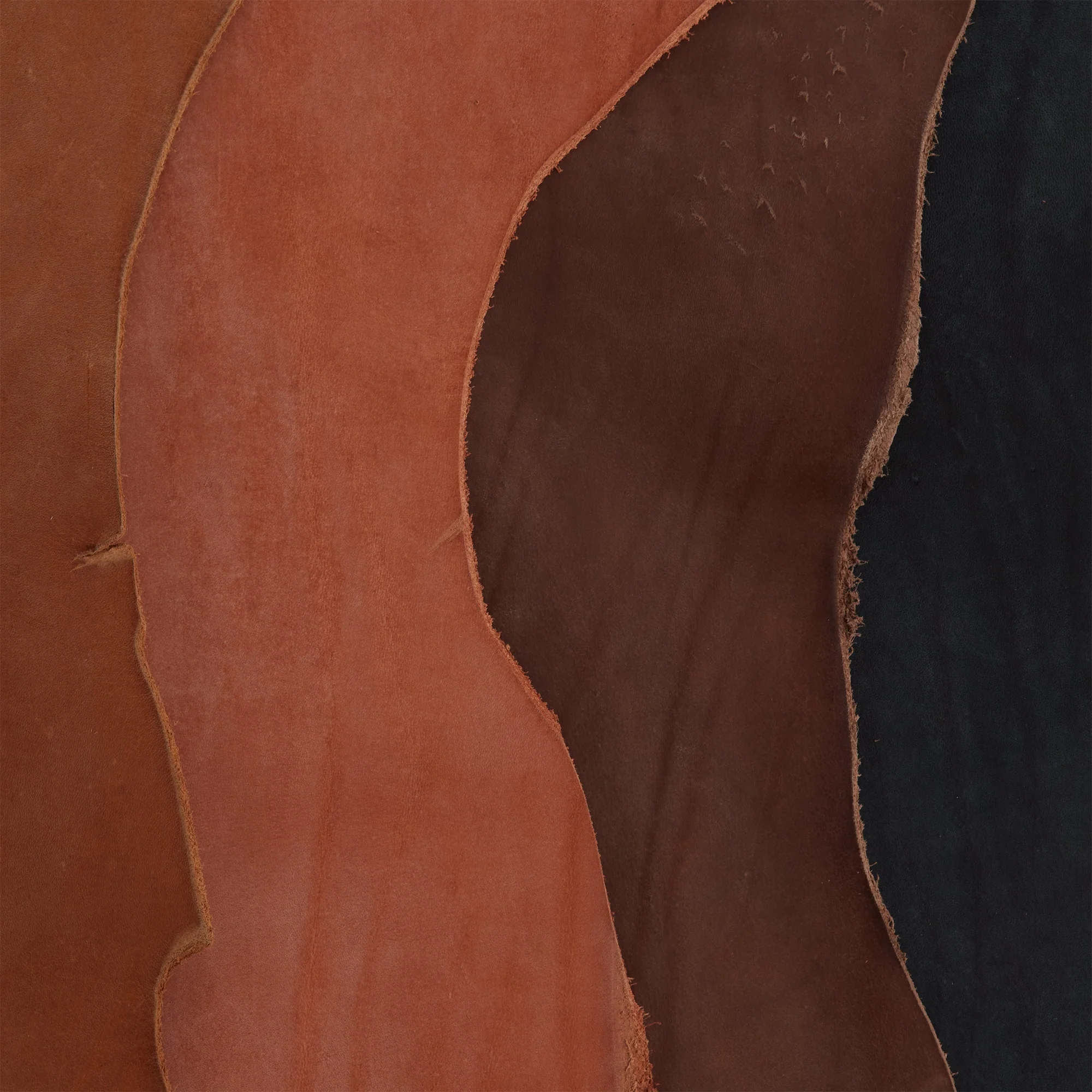 Master Your Craft in Leather